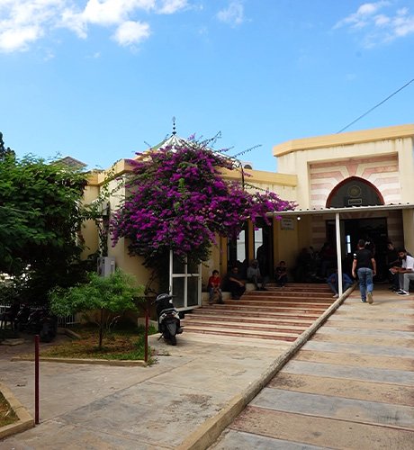 2026 milestone image